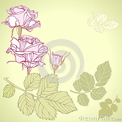 Rose flowers Vector Illustration
