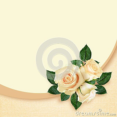 Rose flowers composition Stock Photo