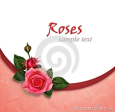 Rose flowers composition and holiday frame Stock Photo