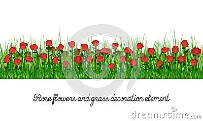 Rose Flowers and Grass Decoration Element Vector Illustration