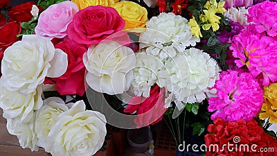 Rose flowers and Stock Photo