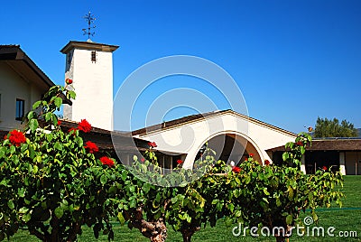 A rose garden grows at the Robert Mondavi Editorial Stock Photo