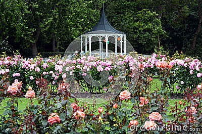 The Rose Garden of Palmerston North NZL Stock Photo