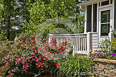 Rose Garden at the Porch of a House Stock Photo