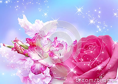 Rose and gladiolus blossom Stock Photo