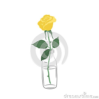 Rose in a glass bottle. Yellow flower with green leaves on a white background. Summer flowers Vector Illustration