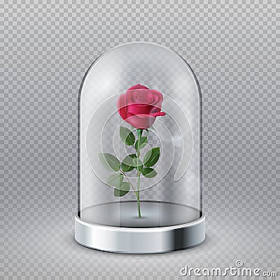 Rose in glass dome. Isolated beautiful red flower under transparent flask. Fairy tale symbol, beauty interior decoration Vector Illustration