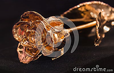 Rose Gold 24k Stock Photo