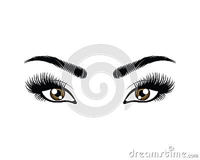 eyes with long eyelashes vector illustration Vector Illustration