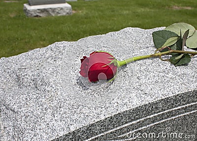 Rose on a Grave Stock Photo