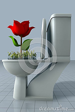 Rose growing in toilet Stock Photo