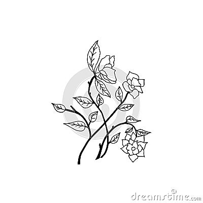 Rose hand drawn line vector, roses art, illustration logo Vector Illustration