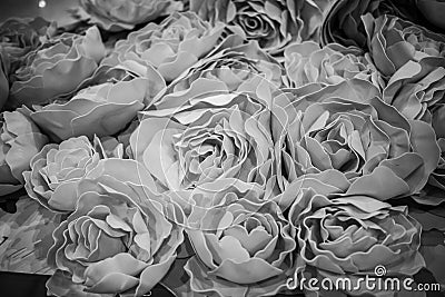 Rose handmade black and white tone. Stock Photo