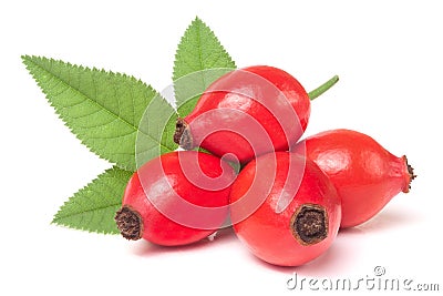 Rose hip berry with leaf isolated on white background Stock Photo