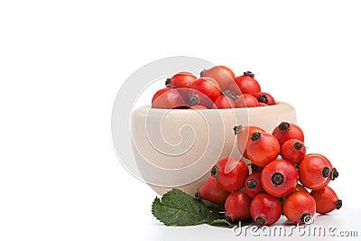 Rose hips Stock Photo