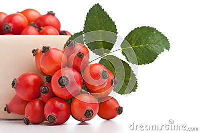 Rose hips Stock Photo