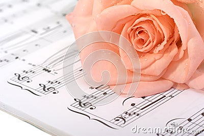 The rose lays on a musical book Stock Photo