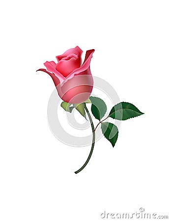 Rose Logo, Icon templates vector image.Vector logo for web design, mobile and infographics Stock Photo