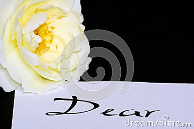 Rose on love letter Stock Photo