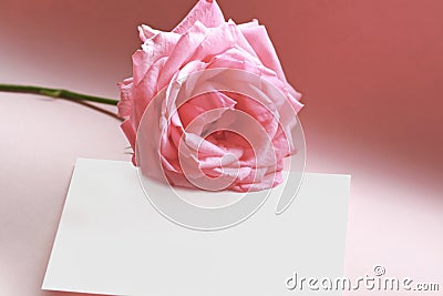 Rose on a love note Stock Photo