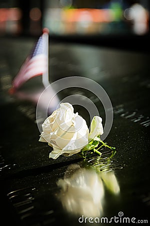 A rose at the 9/11 memorial, New York Editorial Stock Photo