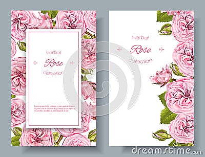 Rose natural cosmetics banners Vector Illustration