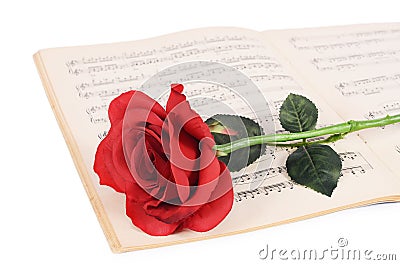 The rose on notebooks with notes Stock Photo