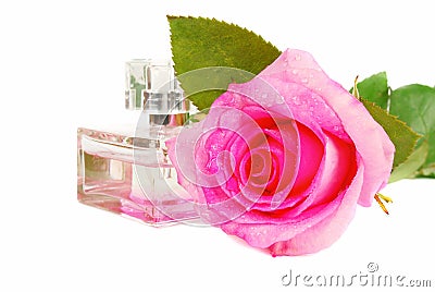 Rose and parfume. Stock Photo