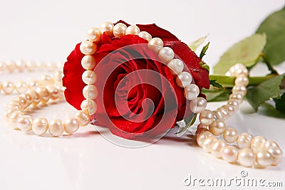 Rose & pearls Stock Photo