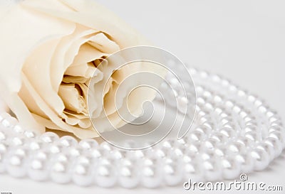 Rose and pearls Stock Photo