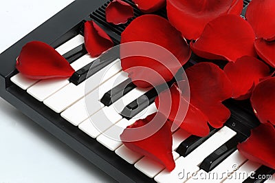 Rose petals on keyboard Stock Photo