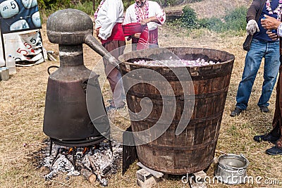 Rose picking festival Editorial Stock Photo