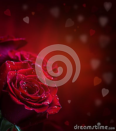 Rose. Red roses. Bouquet of red roses. Several roses on Granite background. Valentines Day, wedding day background. Stock Photo
