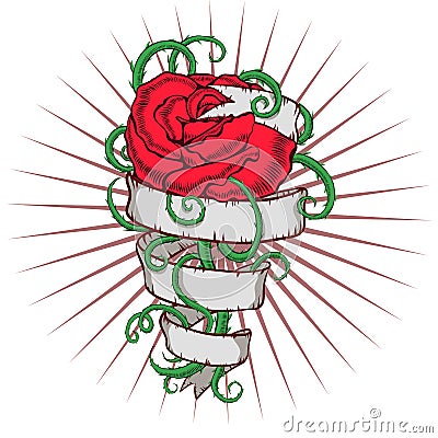 Rose with ribbon. Vector Illustration