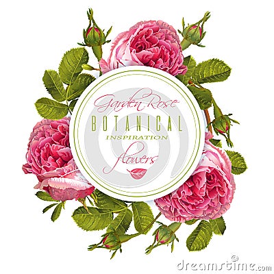 Rose round banner Vector Illustration