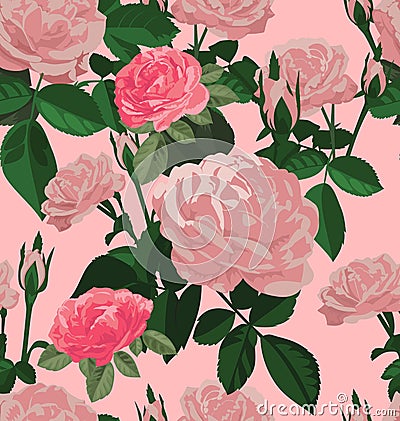 Rose seamless pattern Stock Photo