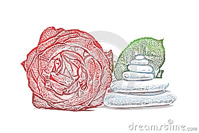 Rose and spa stones draw Cartoon Illustration