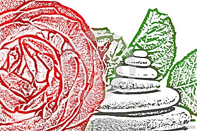 Rose and spa stones draw Cartoon Illustration