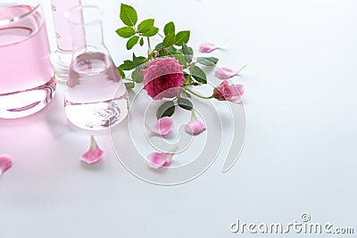 Rose spa treatments on white wooden table. Healthcare and body therapy massage relaxation concept. Beauty and Healthy theme. Pure Stock Photo