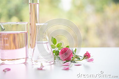 Rose spa treatments on white wooden table. Healthcare and body therapy massage relaxation concept. Beauty and Healthy theme. Pure Stock Photo