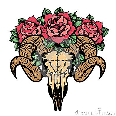 Rose tattoo with skull of a sheep isolated vector illustration. Vector Illustration