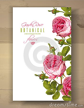 Rose vertical banner Vector Illustration