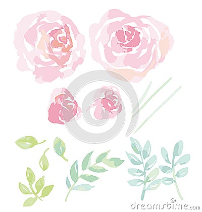 Rose watercolor flowers kit for design. Vector Illustration