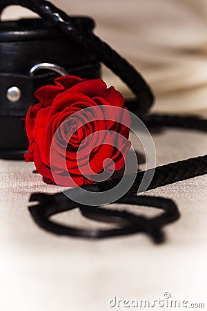 Rose, whip and handcuffs Stock Photo