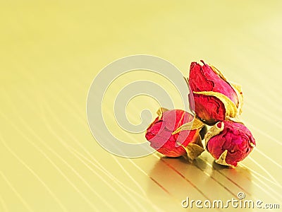 Rosebuds on a golden background Stock Photo