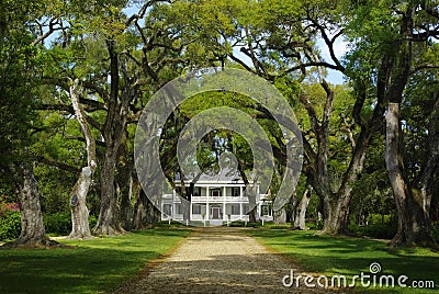 Rosedown Plantation Home Stock Photo