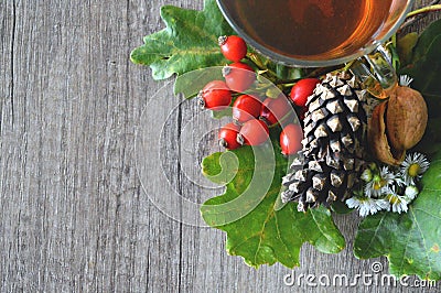 Rosehip tea for colds. Stock Photo
