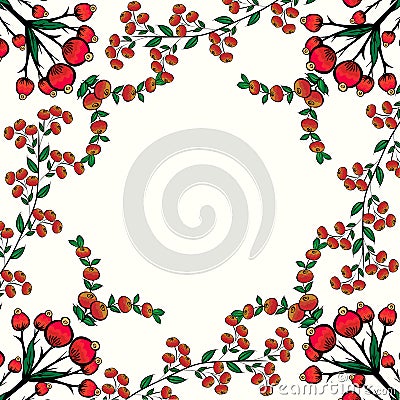 Rosehips red berry natural background Vector Illustration