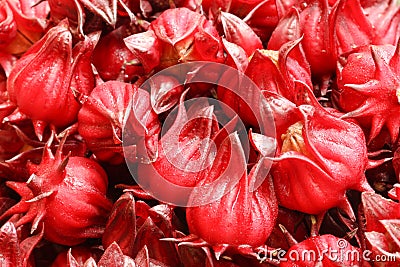 Roselle fruits Stock Photo