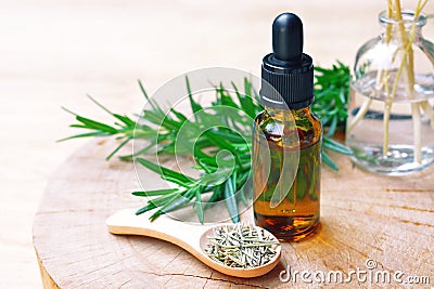 Rosemary aromatherapy oil extract Stock Photo